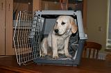 CAGE - BOX 016